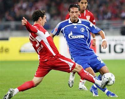 推出的全新 推出的全新